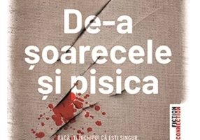 De-a soarecele si pisica