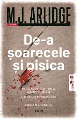 De-a soarecele si pisica