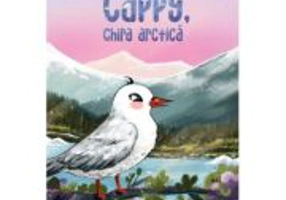 Cappy, chira arctica