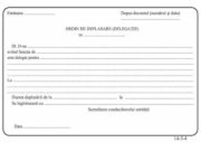Formular ordin deplasare delegatie, A5, fata/verso, 3 carnete a 100 file/set
