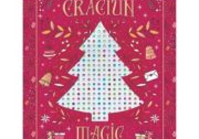 Craciun magic