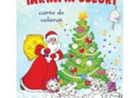 Iarna in culori. Carte de colorat