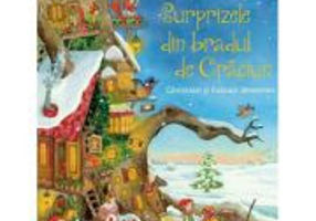 Surprizele din Bradul de Craciun
