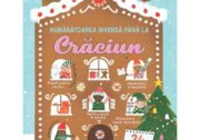 Numaratoarea inversa pana la Craciun (Usborne) - Usborne Books
