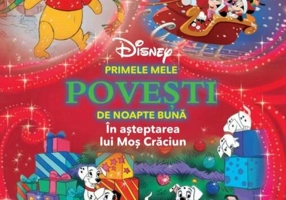 În așteptarea lui Moș Crăciun - Board book - Litera mică