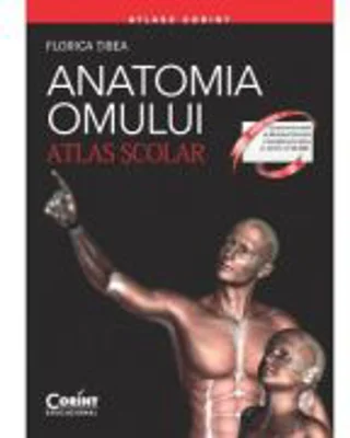 Anatomia Omului. Atlas scolar. Editie revizuita - Florica Tibea