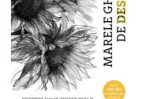 Marele ghid de desen - DK