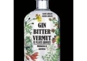 GIN, BITTER, VERMUT cu plante aromate. Obtinerea si servirea - Alois Golles