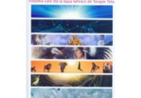 Cele sapte planuri ale existentei - Vianna Stibal