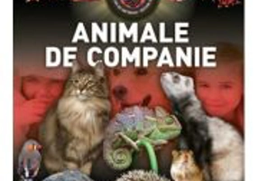 Animale de companie 3D