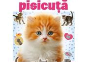 Imi doresc o pisicuta