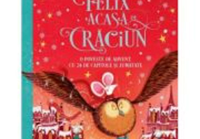 Cum a ajuns Felix acasa de Craciun - Alex T. Smith