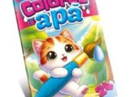 Colorez cu apa 24