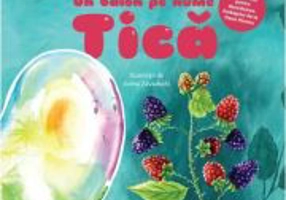 Un balon pe nume Tica - Olina Ortiz