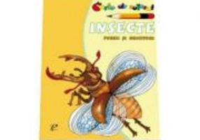 Insecte