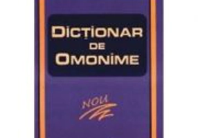 Dictionar de omonime de buzunar - Nicolae Felecan