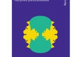 Mitul terapeutului netulburat. Viata privata, practica profesionala - Marie Adams