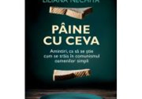 Paine cu ceva. Amintiri, ca sa se stie cum se traia in comunismul oamenilor simpli - Liliana Nechita