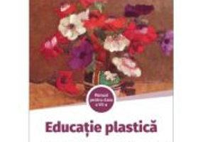 Educatie plastica. Manual pentru clasa a 7-a - Rita Badulescu