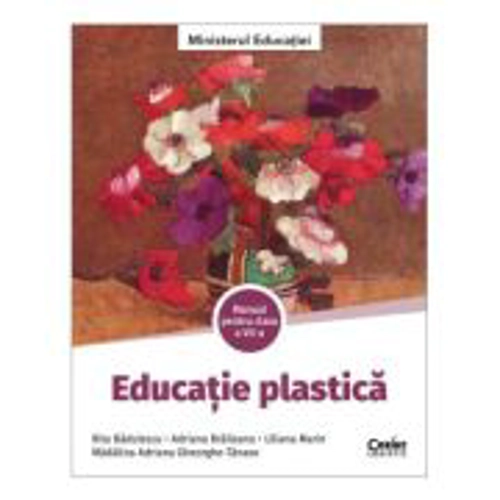 Educatie plastica. Manual pentru clasa a 7-a - Rita Badulescu