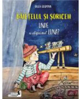 Baietelul si soriceii. Unde a disparut luna? - Olga Gudynn