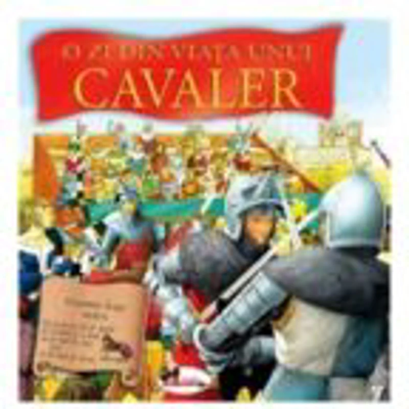 O zi din viata unui cavaler