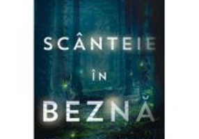 Scanteie in bezna - Stacy Willingham