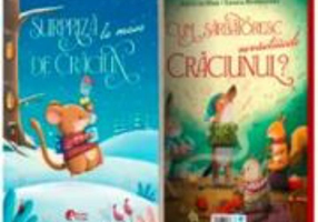 Surpriza la masa de Craciun. Cum sarbatoresc nevastuicile Craciunul. Povesti de Craciun clasa a 2-a