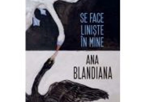 Se face liniste in mine