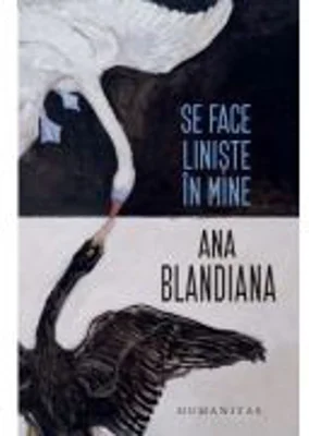 Se face liniste in mine