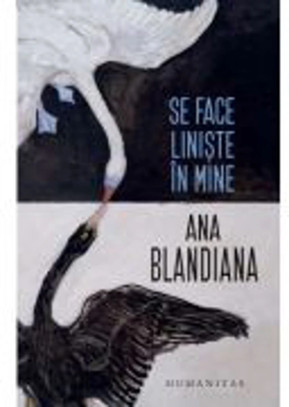 Se face liniste in mine