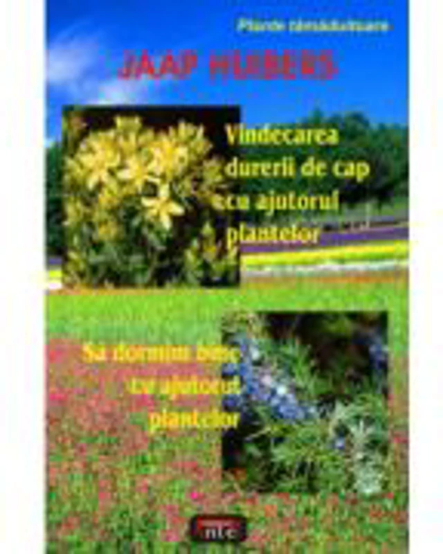 Vindecarea durerii de cap cu ajutorul plantelor. Sa dormim bine cu ajutorul plantelor