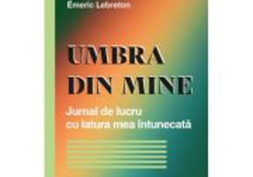 Umbra din mine. Jurnal de lucru cu latura mea intunecata - Emeric Lebreton