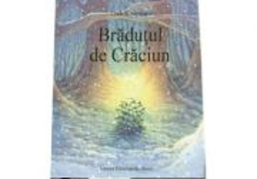 Bradutul de Craciun - Loek Koopmans