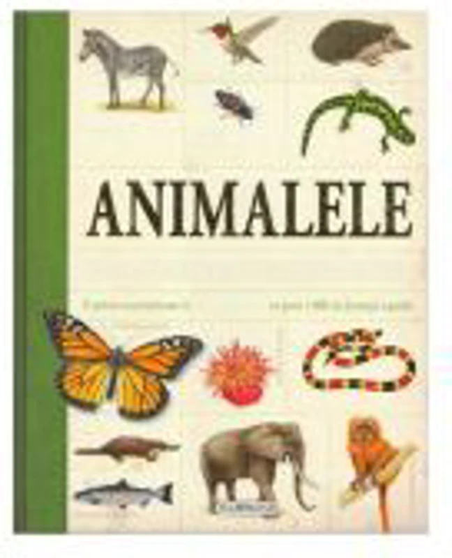 Animalele. Enciclopedie pentru copii (peste 1000 de ilustratii)
