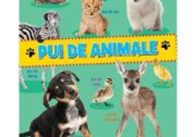 Primele cuvinte. Pui de animale