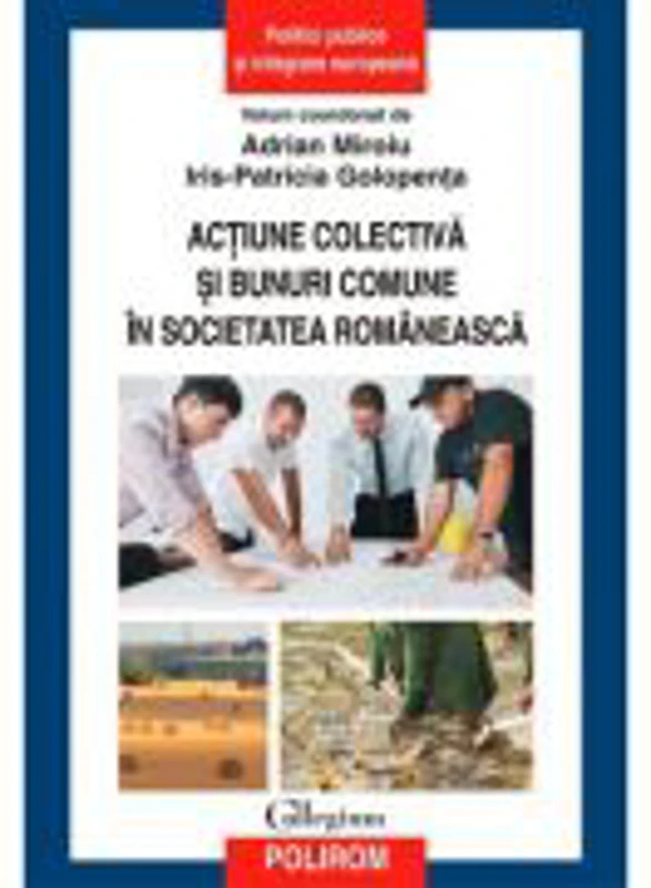 Actiune colectiva si bunuri comune in societatea romaneasca - Adrian Miroiu