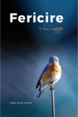 Fericire in locuri neasteptate