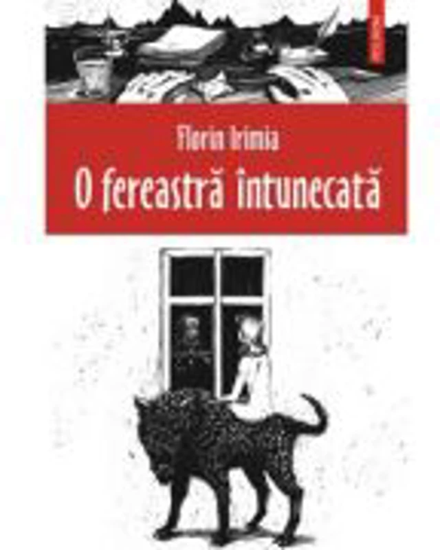 O fereastra intunecata (Florin Irimia)