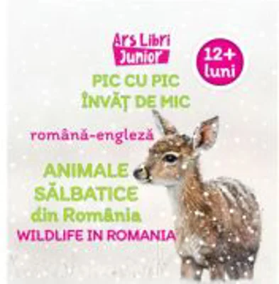 Pic cu pic invat de mic. Animale salbatice din Romania