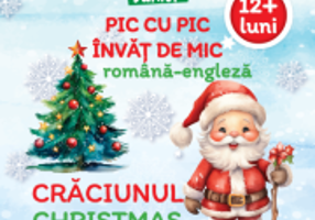 Pic cu pic invat de mic. Craciunul
