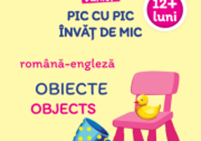 Pic cu pic invat de mic. Obiecte