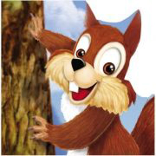 Veverita. Colectia Primii pasi