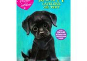 Monty, catelusul cel trist