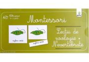 Lectii de zoologie: Nevertebrate. Lectii Montessori