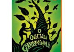 O oglinda grimminala - Adam Gidwitz