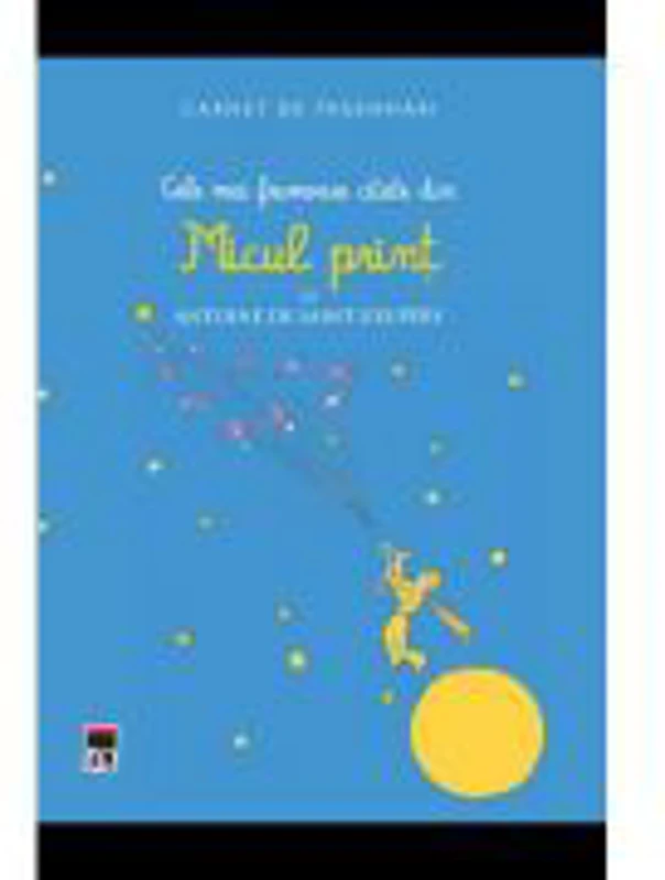 Carnet de insemnari. Cele mai frumoase citate din Micul Print