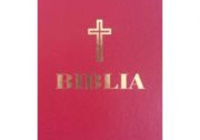 Biblia, format 053, grena