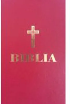 Biblia, format 053, grena