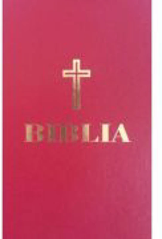 Biblia, format 053, grena